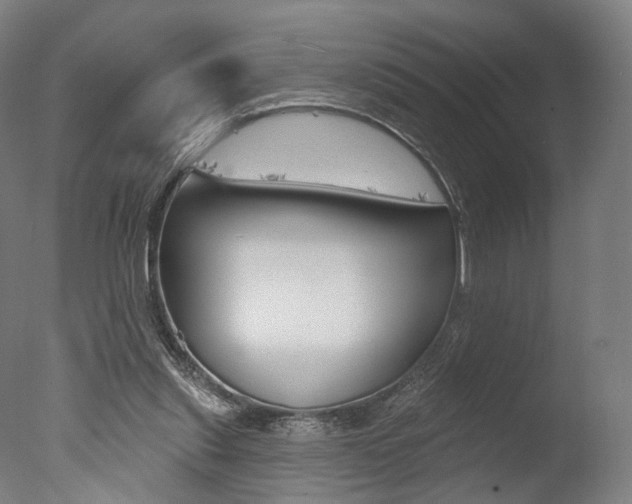 X0000077370253200610201022