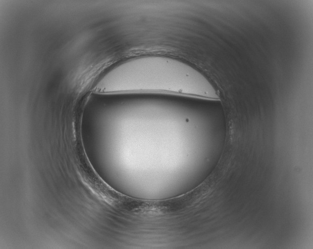 X0000077370254200610201022