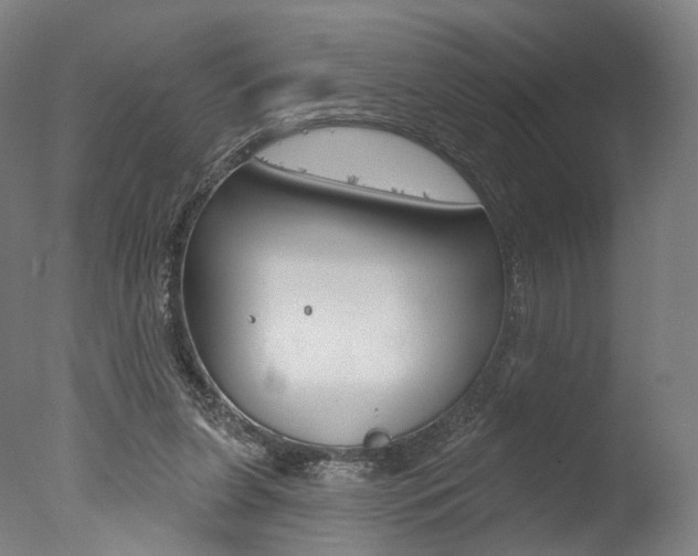 X0000077370255200610201022