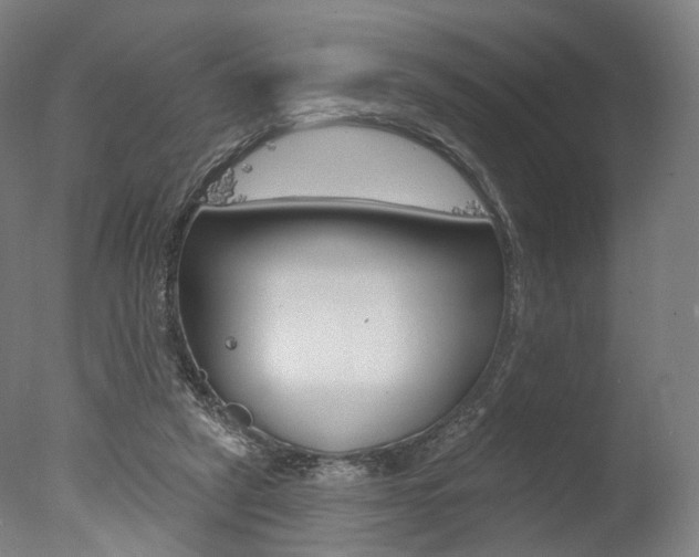 X0000077370257200610201022