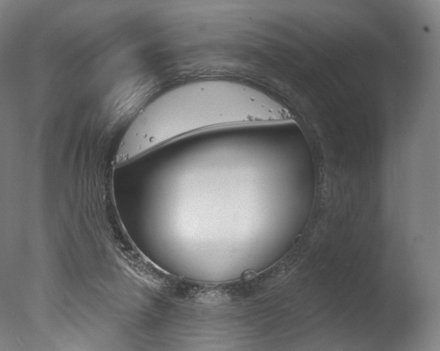 X0000077370258200610201022