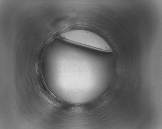 X0000077370259200610201022