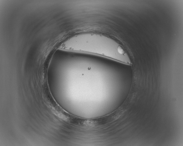 X0000077370261200610201022