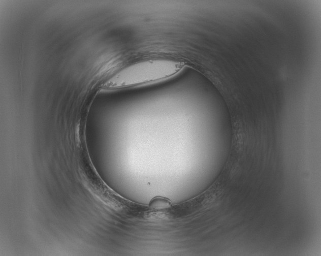 X0000077370262200610201022