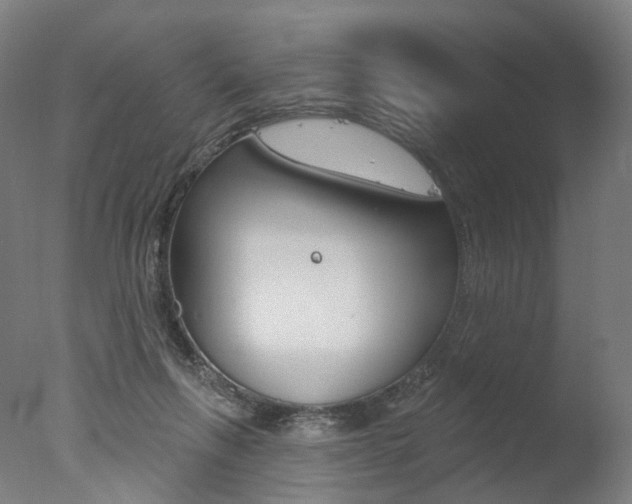 X0000077370263200610201022