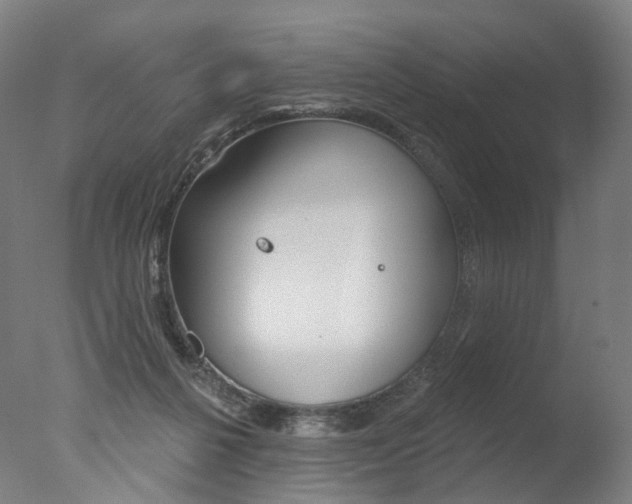 X0000077370264200610201022