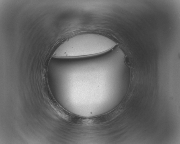 X0000077370265200610201022