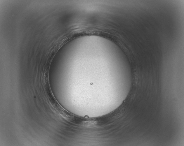 X0000077370266200610201022