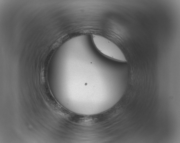 X0000077370267200610201022