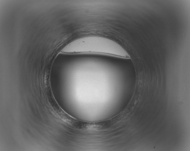 X0000077370268200610201022