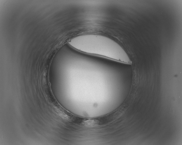 X0000077370269200610201022