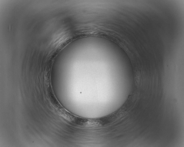 X0000077370270200610201022