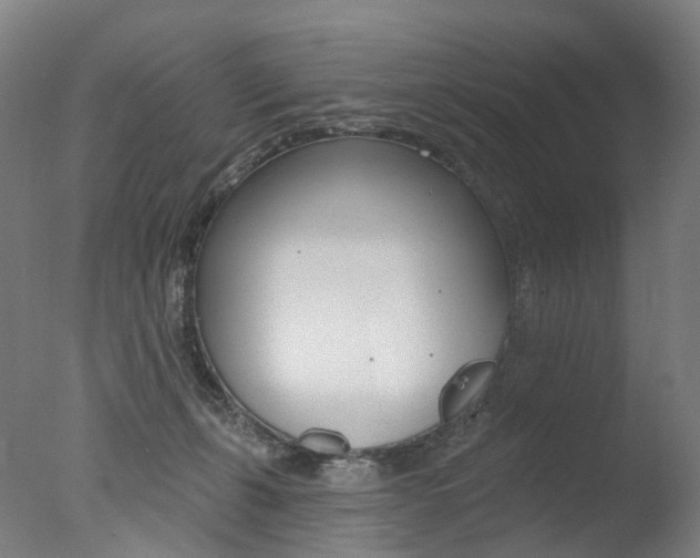 X0000077370271200610201022