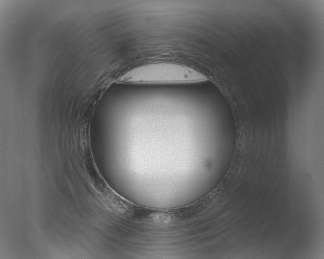 X0000077370272200610201022