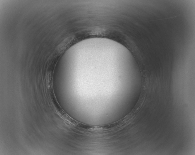 X0000077370273200610201022