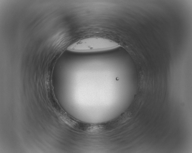 X0000077370274200610201022