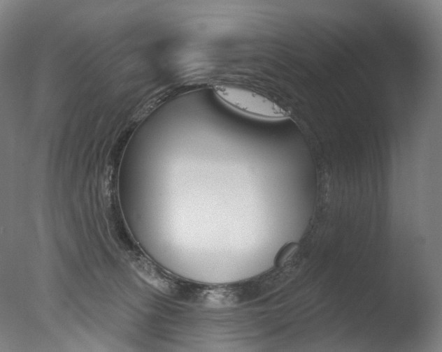 X0000077370275200610201022