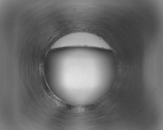 X0000077370276200610201022