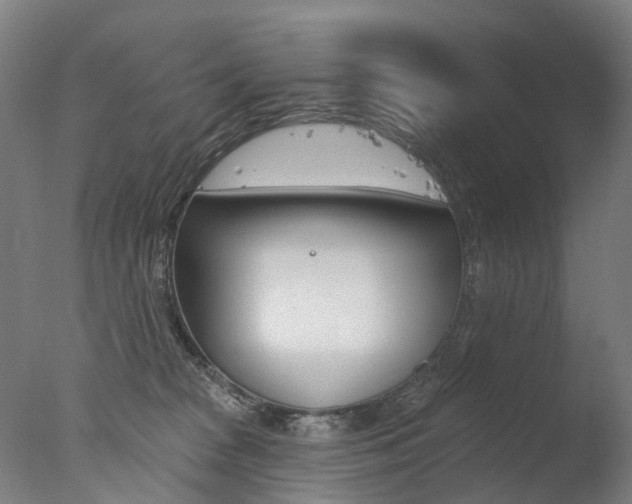 X0000077370277200610201022