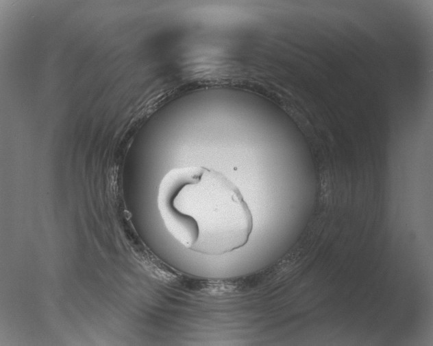 X0000077370278200610201022