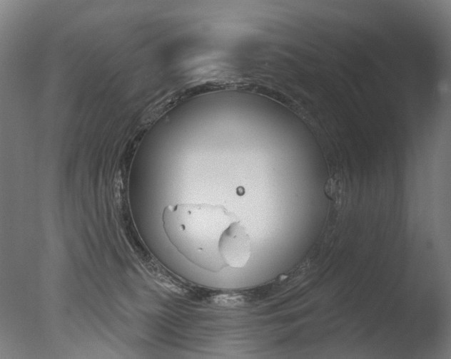 X0000077370279200610201022