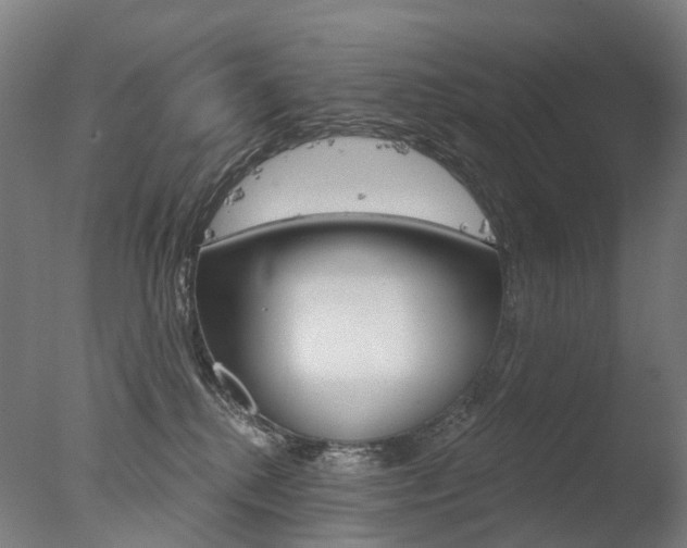 X0000077370280200610201022