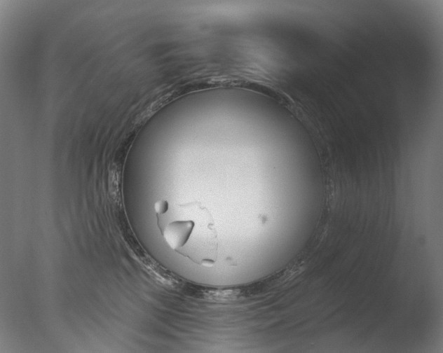 X0000077370281200610201022