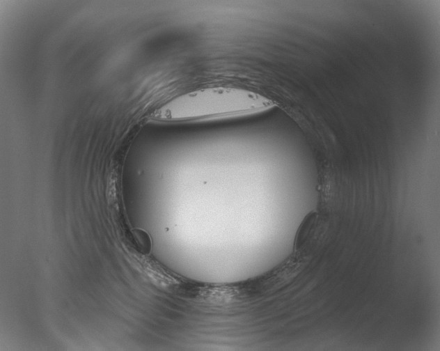 X0000077370282200610201022