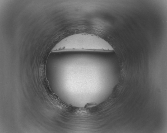 X0000077370283200610201022