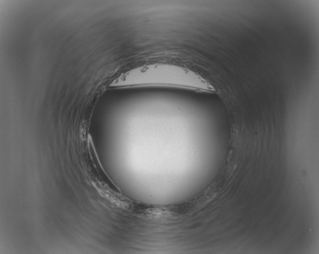 X0000077370284200610201022