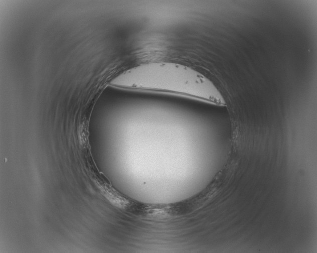 X0000077370285200610201022