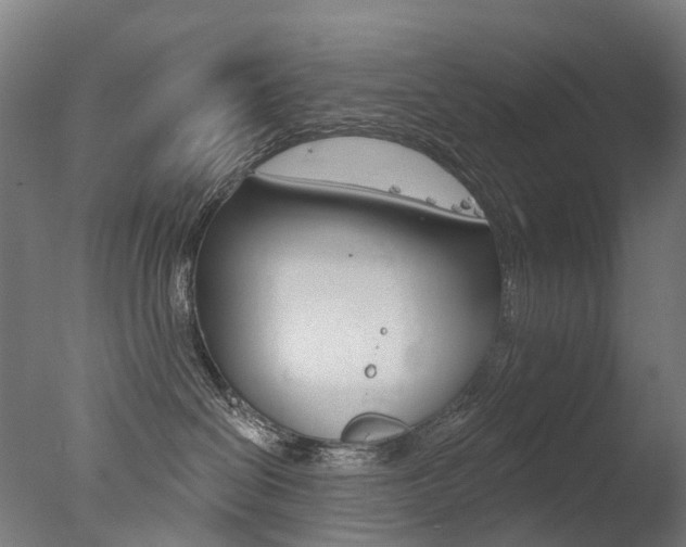 X0000077370286200610201022