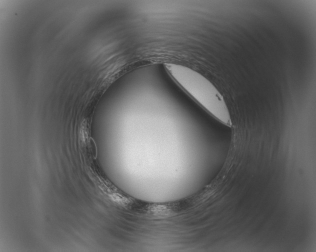 X0000077370287200610201022