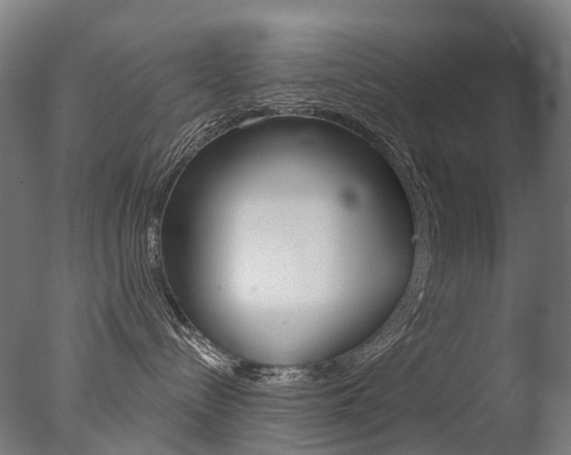 X0000077370288200610201022