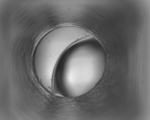 X0000077370289200610201021