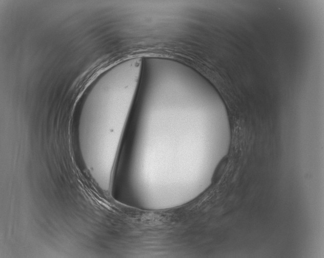 X0000077370290200610201021