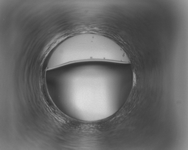 X0000077370291200610201021