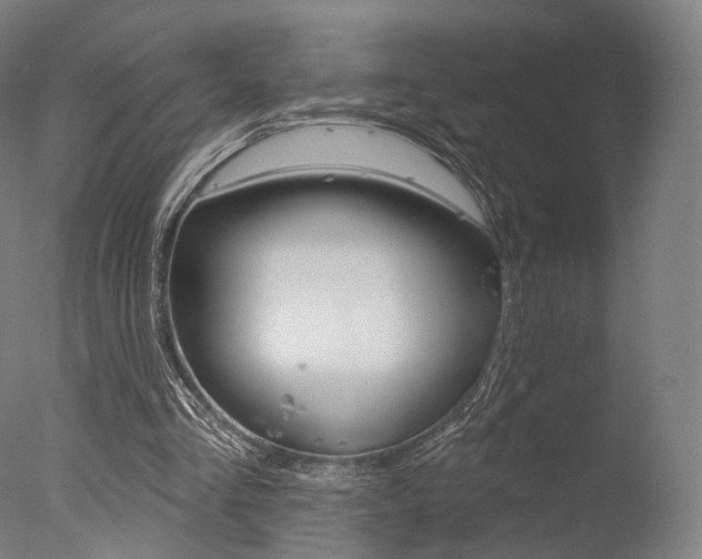 X0000077370293200610201021