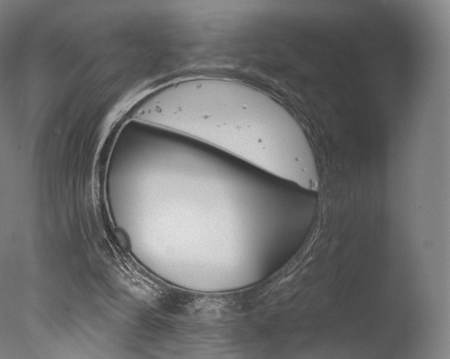 X0000077370294200610201021