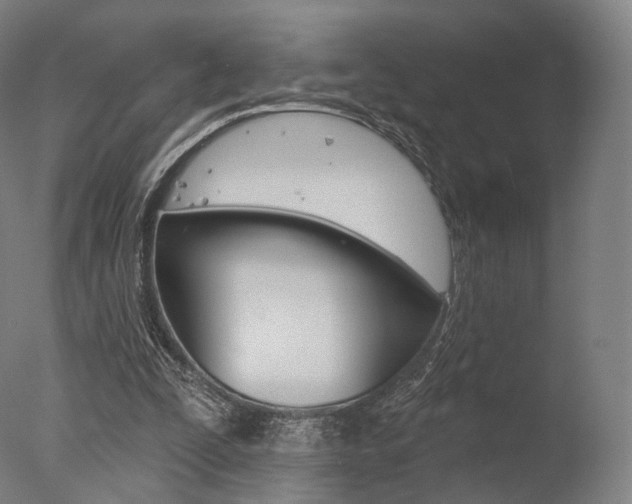 X0000077370295200610201021