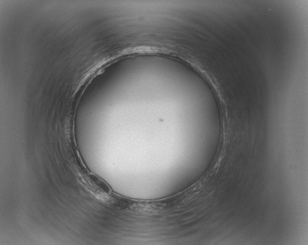 X0000077370297200610201021