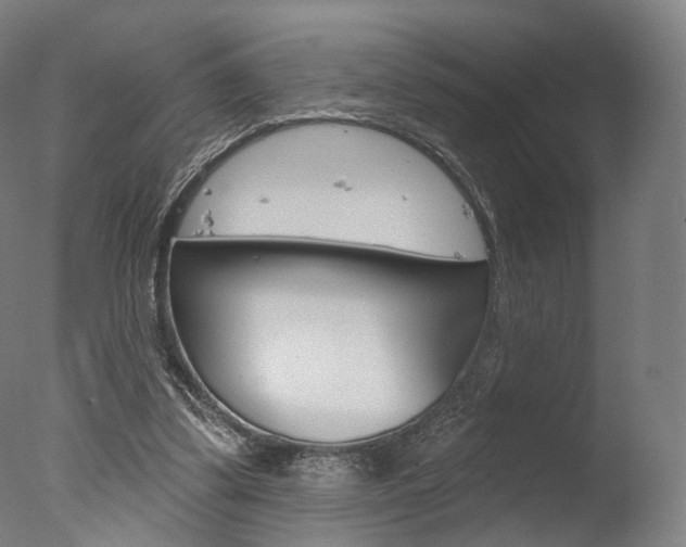 X0000077370299200610201021