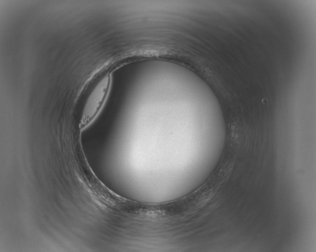 X0000077370304200610201021