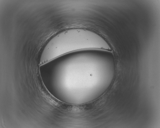 X0000077370305200610201021