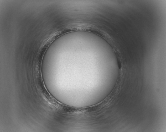 X0000077370306200610201021