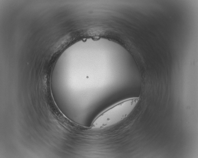 X0000077370308200610201021