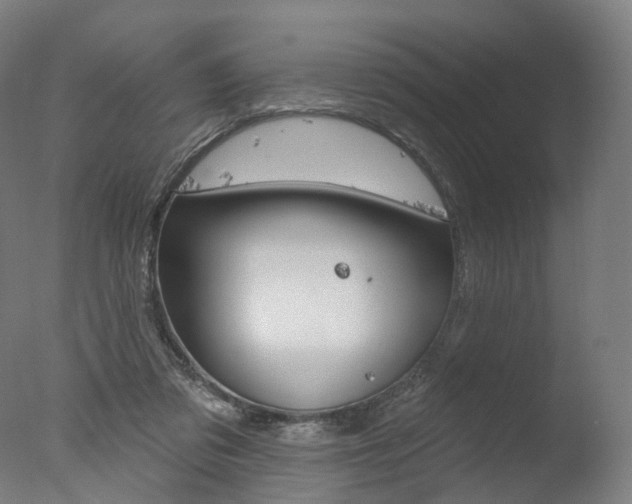 X0000077370309200610201021