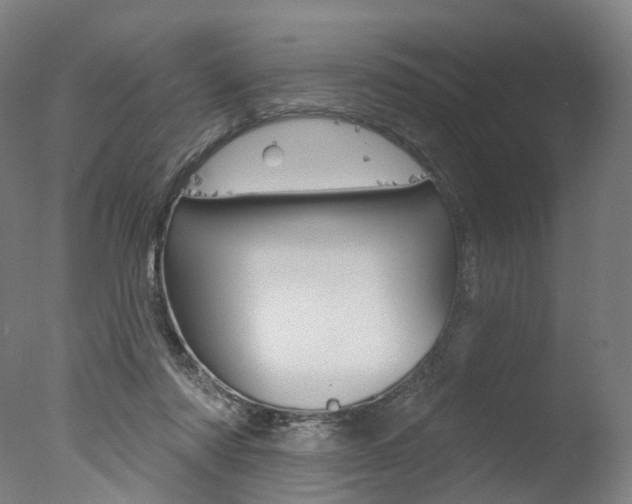 X0000077370310200610201021