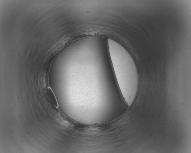 X0000077370313200610201021