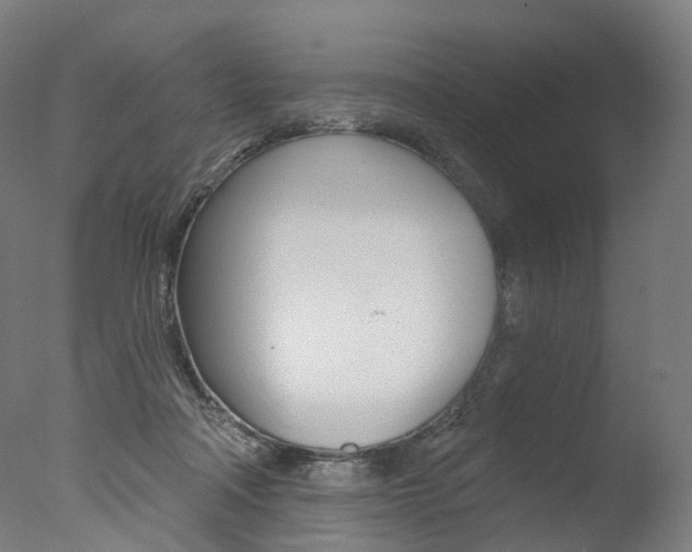 X0000077370314200610201021